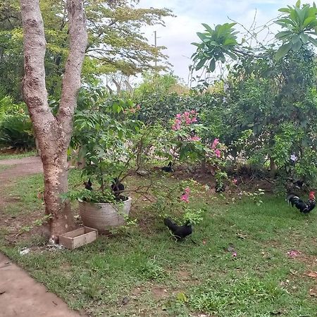 Chácara Pousada Sagui Cuiabá Esterno foto